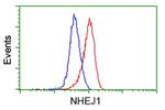NHEJ1 Antibody in Flow Cytometry (Flow)