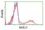 NHEJ1 Antibody in Flow Cytometry (Flow)