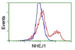 NHEJ1 Antibody in Flow Cytometry (Flow)