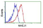 NHEJ1 Antibody in Flow Cytometry (Flow)