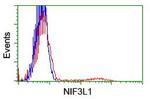 NIF3L1 Antibody in Flow Cytometry (Flow)