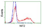 NIT2 Antibody in Flow Cytometry (Flow)