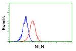 NLN Antibody in Flow Cytometry (Flow)
