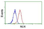 NLN Antibody in Flow Cytometry (Flow)