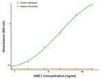 NME1 Antibody in ELISA (ELISA)