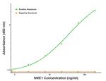 NME1 Antibody in ELISA (ELISA)
