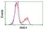 NME4 Antibody in Flow Cytometry (Flow)