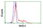 NME4 Antibody in Flow Cytometry (Flow)