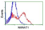 NMNAT1 Antibody in Flow Cytometry (Flow)