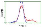 NNMT Antibody in Flow Cytometry (Flow)