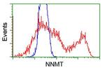 NNMT Antibody in Flow Cytometry (Flow)