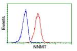 NNMT Antibody in Flow Cytometry (Flow)