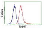 NNMT Antibody in Flow Cytometry (Flow)
