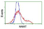 NNMT Antibody in Flow Cytometry (Flow)