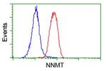NNMT Antibody in Flow Cytometry (Flow)