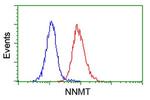 NNMT Antibody in Flow Cytometry (Flow)