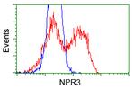 NPR3 Antibody in Flow Cytometry (Flow)