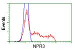 NPR3 Antibody in Flow Cytometry (Flow)