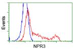 NPR3 Antibody in Flow Cytometry (Flow)