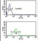 NQO1 Antibody in Flow Cytometry (Flow)