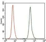 GCNF Antibody in Flow Cytometry (Flow)