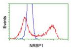 NRBP1 Antibody in Flow Cytometry (Flow)