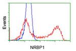 NRBP1 Antibody in Flow Cytometry (Flow)