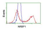 NRBP1 Antibody in Flow Cytometry (Flow)