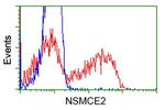 NSMCE2 Antibody in Flow Cytometry (Flow)