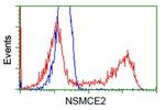 NSMCE2 Antibody in Flow Cytometry (Flow)