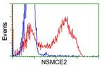NSMCE2 Antibody in Flow Cytometry (Flow)