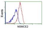 NSMCE2 Antibody in Flow Cytometry (Flow)