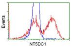 NT5DC1 Antibody in Flow Cytometry (Flow)