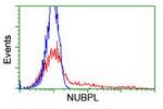 NUBPL Antibody in Flow Cytometry (Flow)