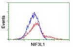 NUBPL Antibody in Flow Cytometry (Flow)