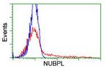 NUBPL Antibody in Flow Cytometry (Flow)