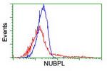 NUBPL Antibody in Flow Cytometry (Flow)