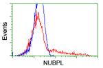 NUBPL Antibody in Flow Cytometry (Flow)