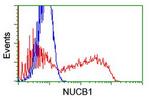 NUCB1 Antibody in Flow Cytometry (Flow)