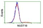 NUDT18 Antibody in Flow Cytometry (Flow)