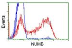NUMB Antibody in Flow Cytometry (Flow)
