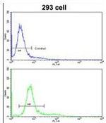 NUP155 Antibody in Flow Cytometry (Flow)