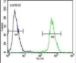 gp210 Antibody in Flow Cytometry (Flow)