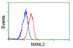 NXNL2 Antibody in Flow Cytometry (Flow)
