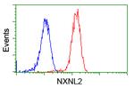 NXNL2 Antibody in Flow Cytometry (Flow)