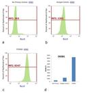Rabbit IgG (H+L) Secondary Antibody in Flow Cytometry (Flow)