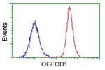 OGFOD1 Antibody in Flow Cytometry (Flow)