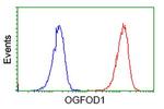 OGFOD1 Antibody in Flow Cytometry (Flow)
