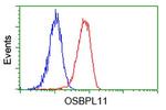 OSBPL11 Antibody in Flow Cytometry (Flow)