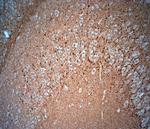 Synaptoporin Antibody in Immunohistochemistry (Paraffin) (IHC (P))